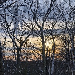 Meet your Posher, Madeleine